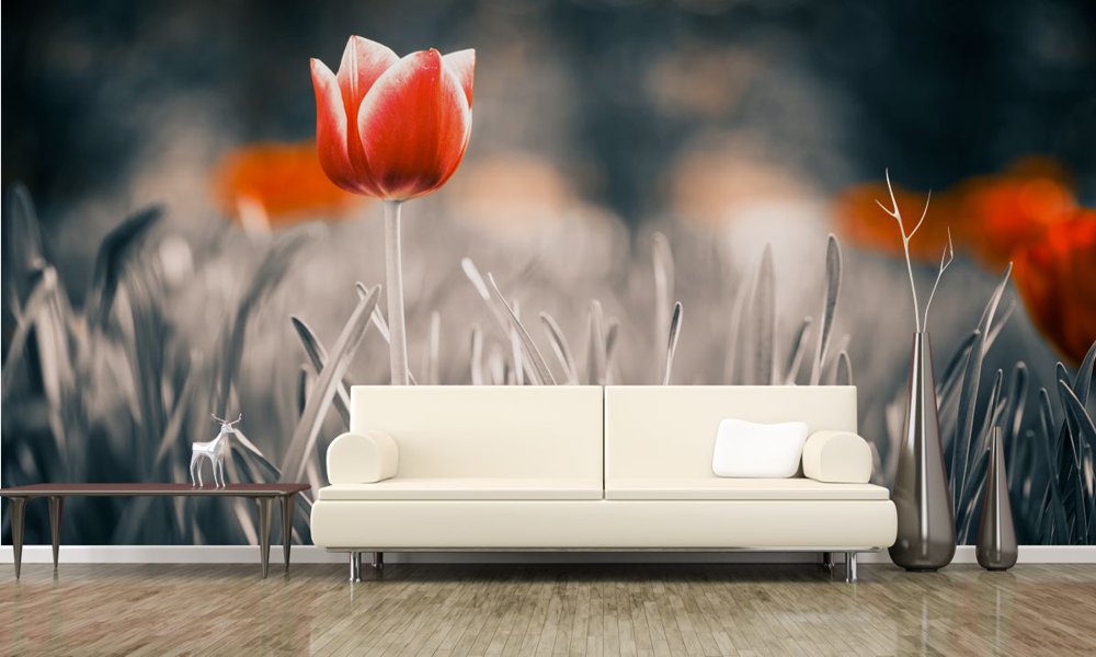 fototapeta-czerwony-kwiat-tulipana-na-lace